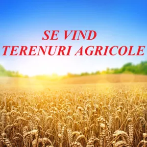Se vinde terenuri agricole